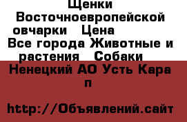 Щенки Восточноевропейской овчарки › Цена ­ 25 000 - Все города Животные и растения » Собаки   . Ненецкий АО,Усть-Кара п.